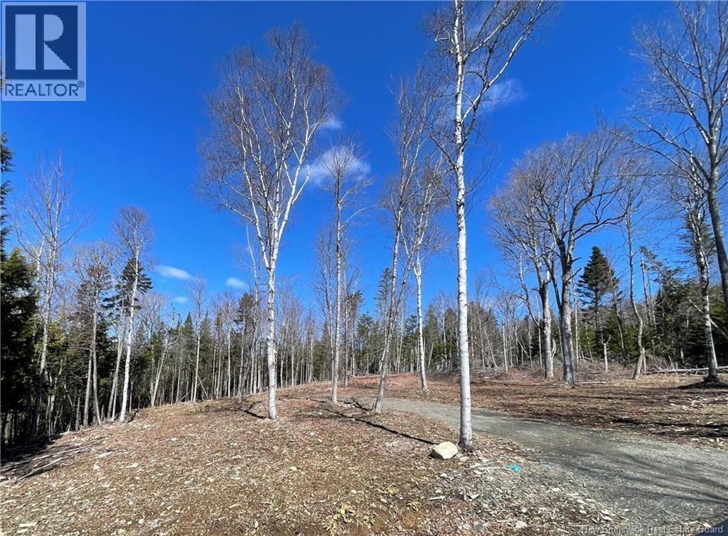 Lot 616 Route, Keswick Ridge, New Brunswick  E6L 1R9 - Photo 4 - NB136819