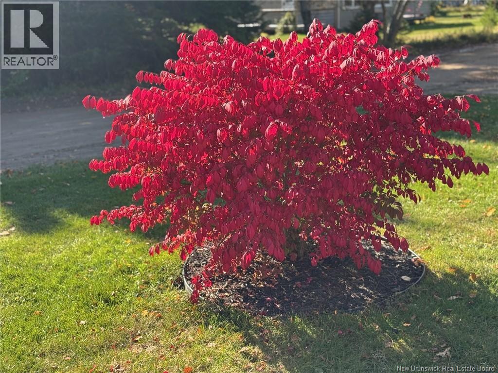 71 Du Parc Road, Shediac River, New Brunswick  E4R 1H2 - Photo 46 - NB137176