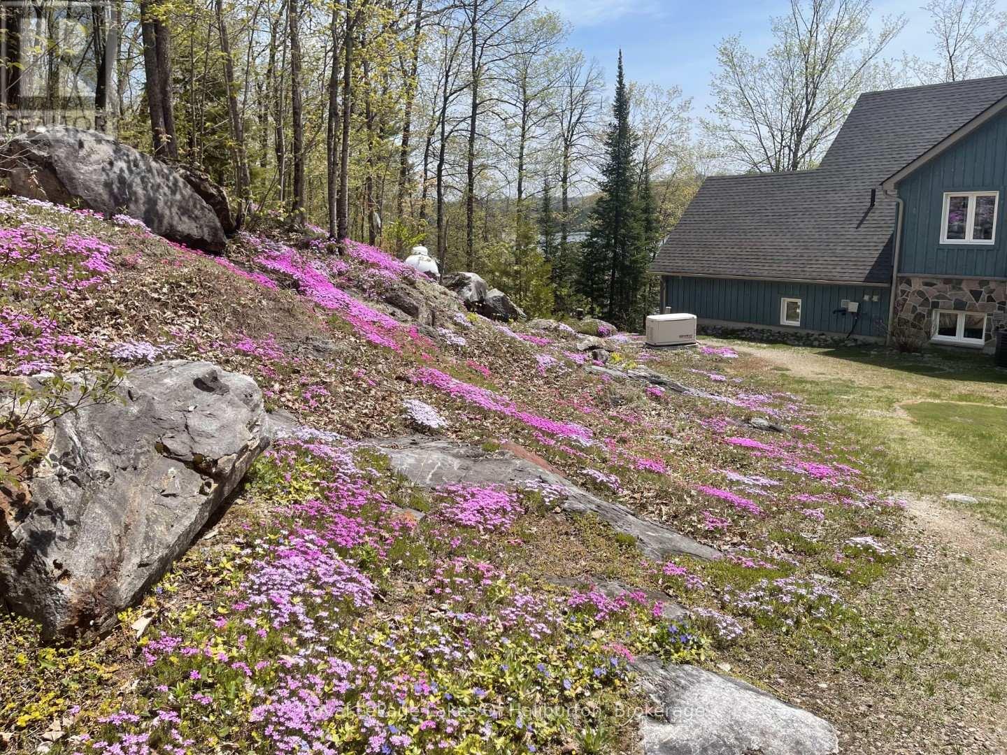 48 Russell Drive, Highlands East, Ontario  K0M 2A0 - Photo 42 - X13030880