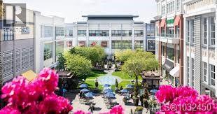 209 3915 Carey Rd, Saanich, British Columbia  V8Z 4E3 - Photo 36 - 1032450