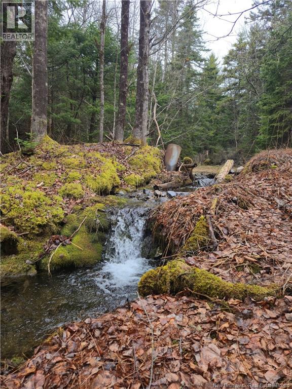 287 Brookton, Beaver Brook, New Brunswick  E4H 2H7 - Photo 4 - NB137435
