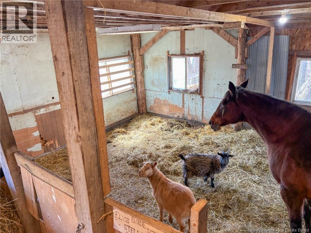 9945 Route 105, Beechwood, New Brunswick  E7J 1V3 - Photo 45 - NB137534