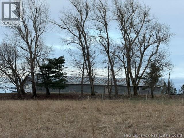 118 Steeves Settlement Road, Steeves Settlement, New Brunswick  E4Z 2Y1 - Photo 7 - NB137605