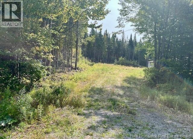 443 Brawley Road, Damascus, New Brunswick  E5N 2N8 - Photo 9 - NB137620