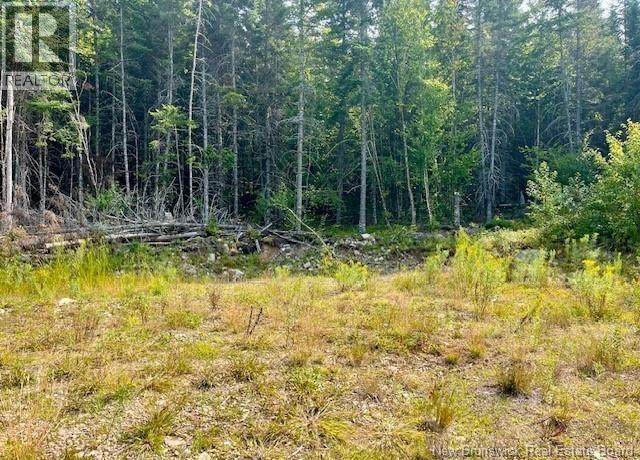 443 Brawley Road, Damascus, New Brunswick  E5N 2N8 - Photo 37 - NB137620