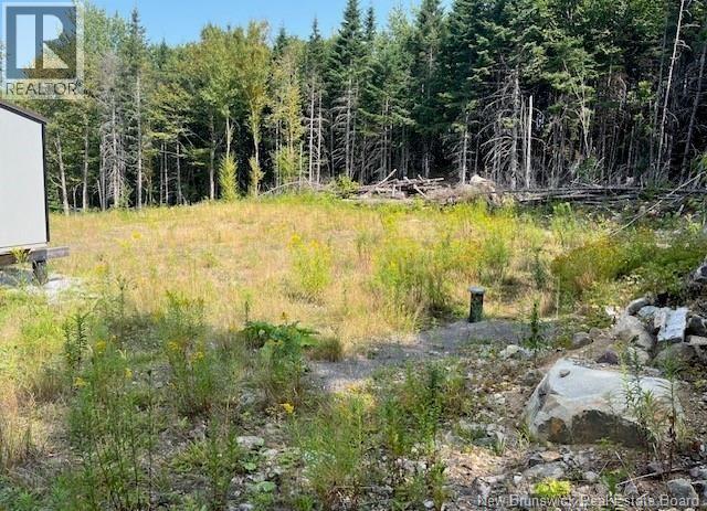 443 Brawley Road, Damascus, New Brunswick  E5N 2N8 - Photo 41 - NB137620