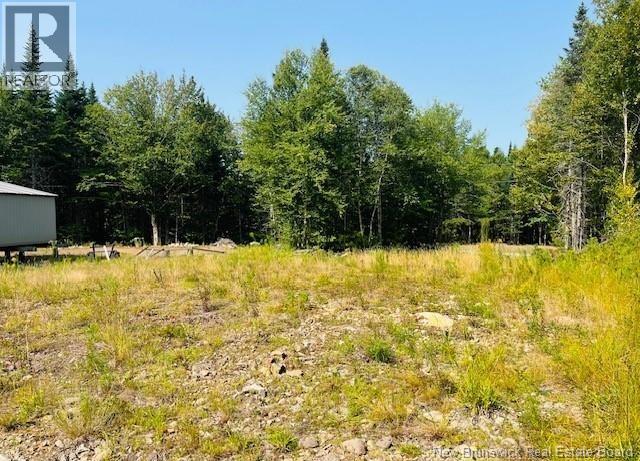 443 Brawley Road, Damascus, New Brunswick  E5N 2N8 - Photo 38 - NB137620
