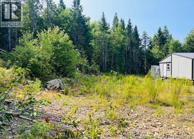 443 Brawley Road, Damascus, New Brunswick  E5N 2N8 - Photo 40 - NB137620