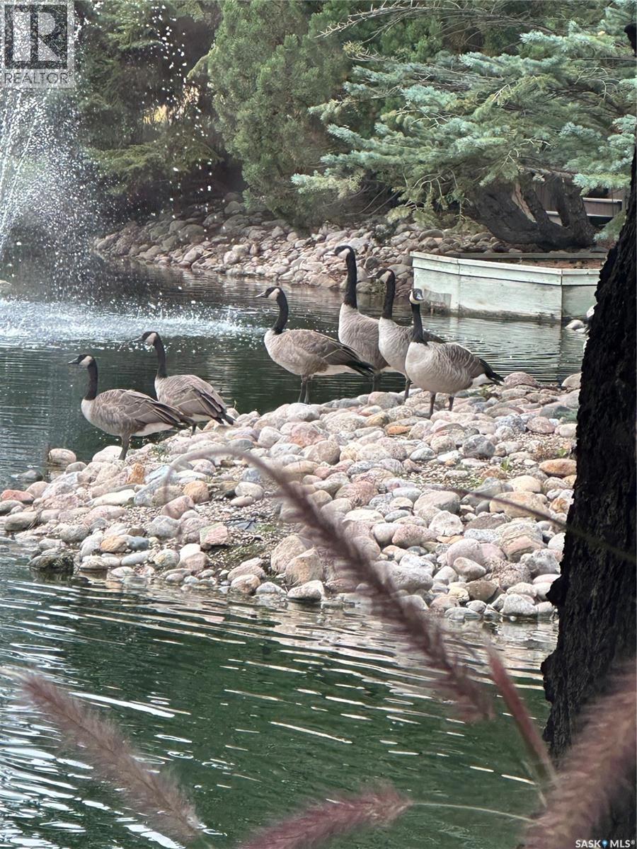 2007 Cunning Crescent E, Regina, Saskatchewan  S4V 0M7 - Photo 67 - SK033593