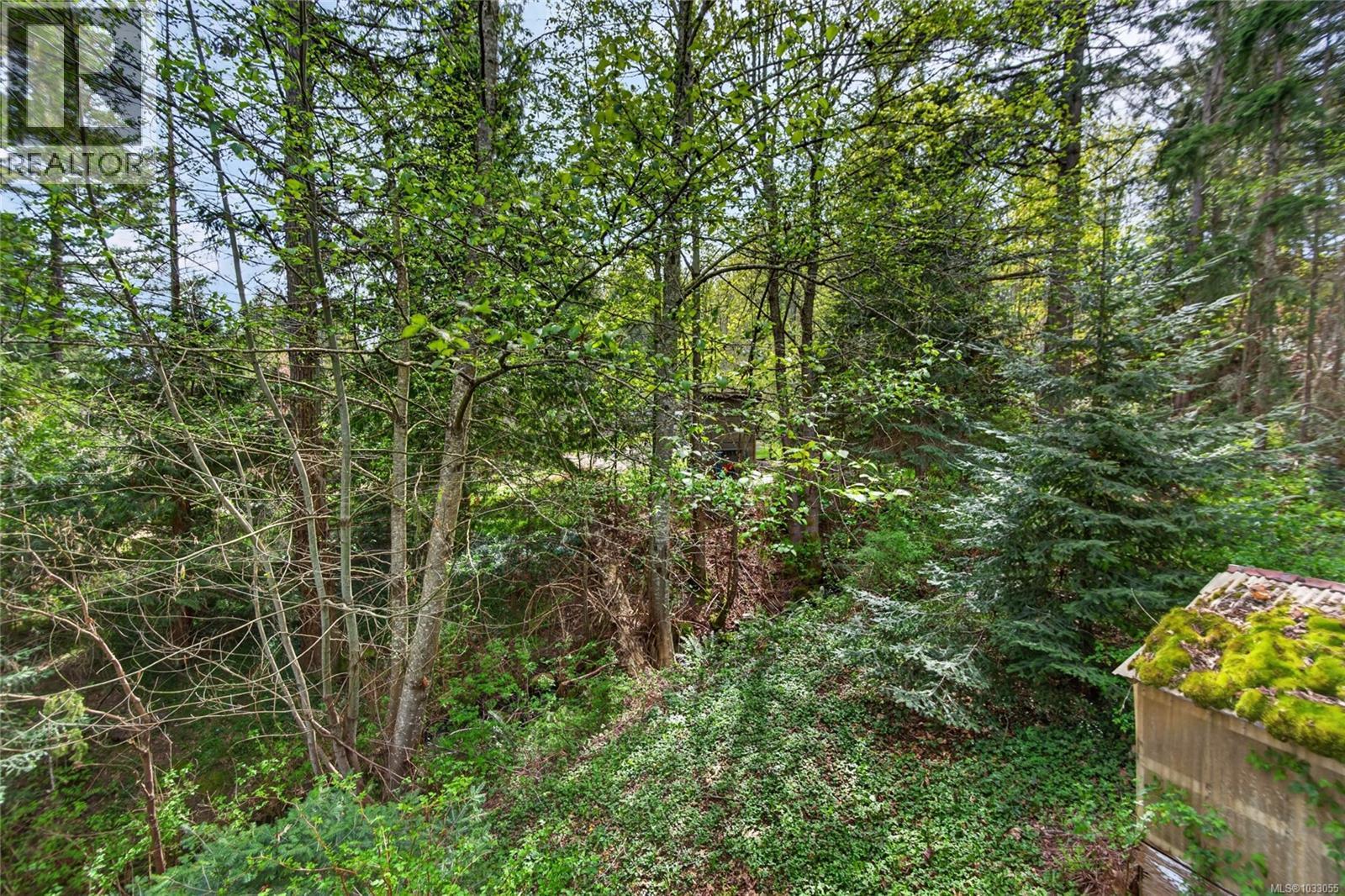 7191 Island Hwy, Fanny Bay, British Columbia  V0R 1W0 - Photo 53 - 1033055