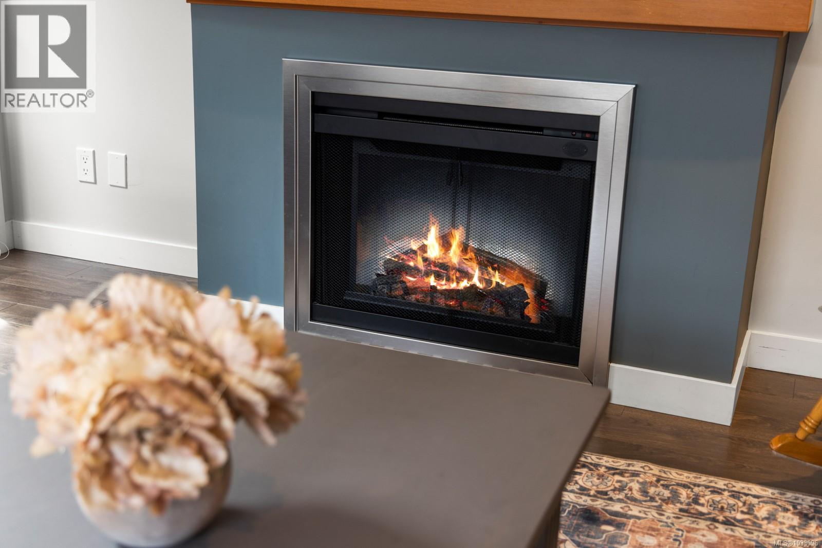 207 150 Nursery Hill Dr, View Royal, British Columbia  V9B 0P2 - Photo 4 - 1033096