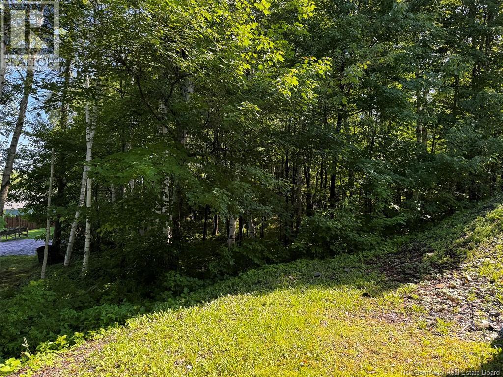 86 Des Ormes Avenue, Edmundston, New Brunswick  E3V 4J9 - Photo 40 - NB122660