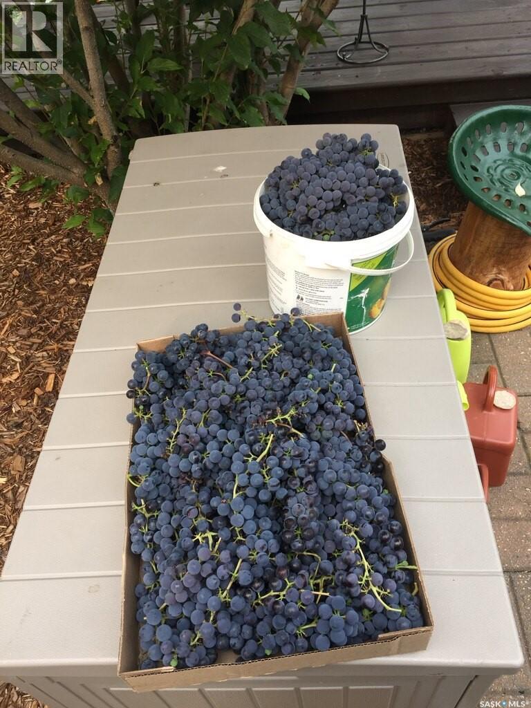 1655 Wingert Drive N, Regina, Saskatchewan  S4X 4P3 - Photo 50 - SK033626