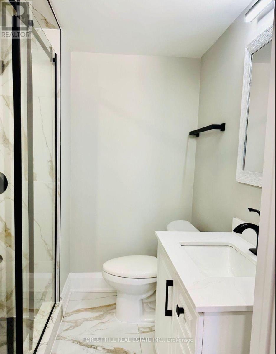 Bsmt - 7 Isherwood Court, Mississauga, Ontario  L5M 1E6 - Photo 11 - W12893378