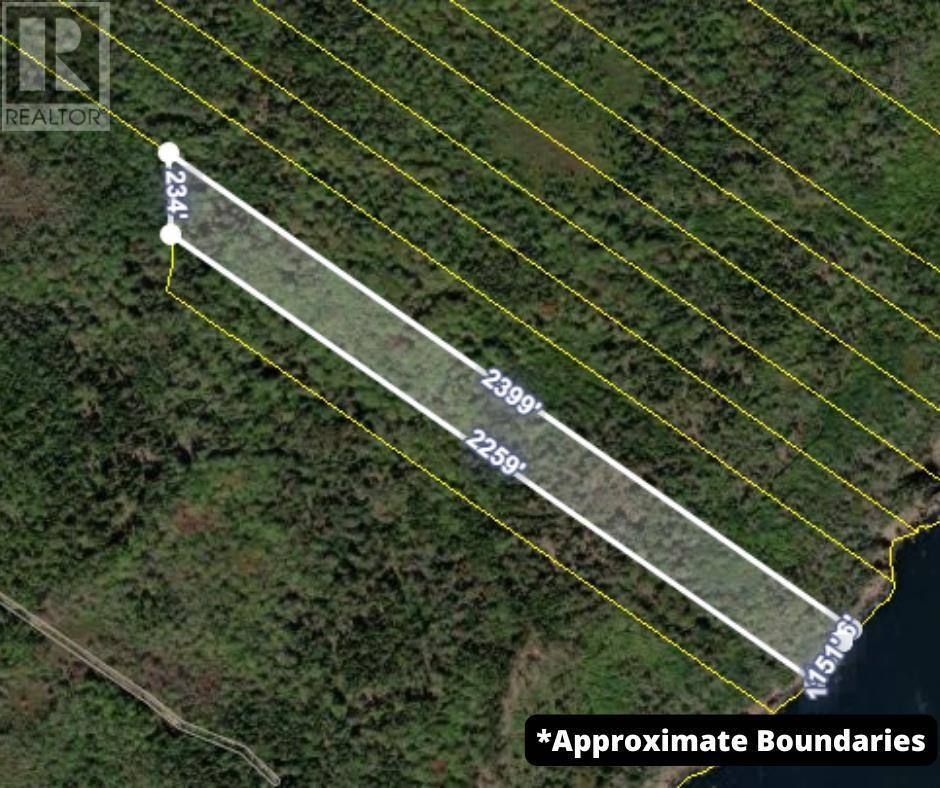 Highway 217, Central Grove, Nova Scotia  B0V 1G0 - Photo 16 - 202507658