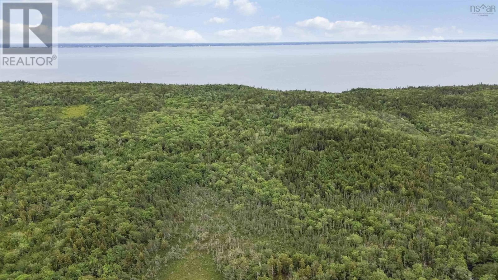 Highway 217, Central Grove, Nova Scotia  B0V 1G0 - Photo 12 - 202507658