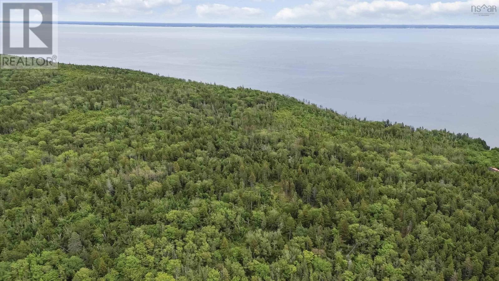 Highway 217, Central Grove, Nova Scotia  B0V 1G0 - Photo 9 - 202507658