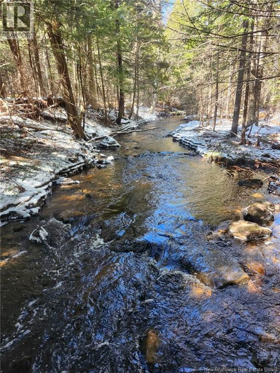 0 Crest Avenue, Heathland, New Brunswick  E3L 5C1 - Photo 7 - NB131431