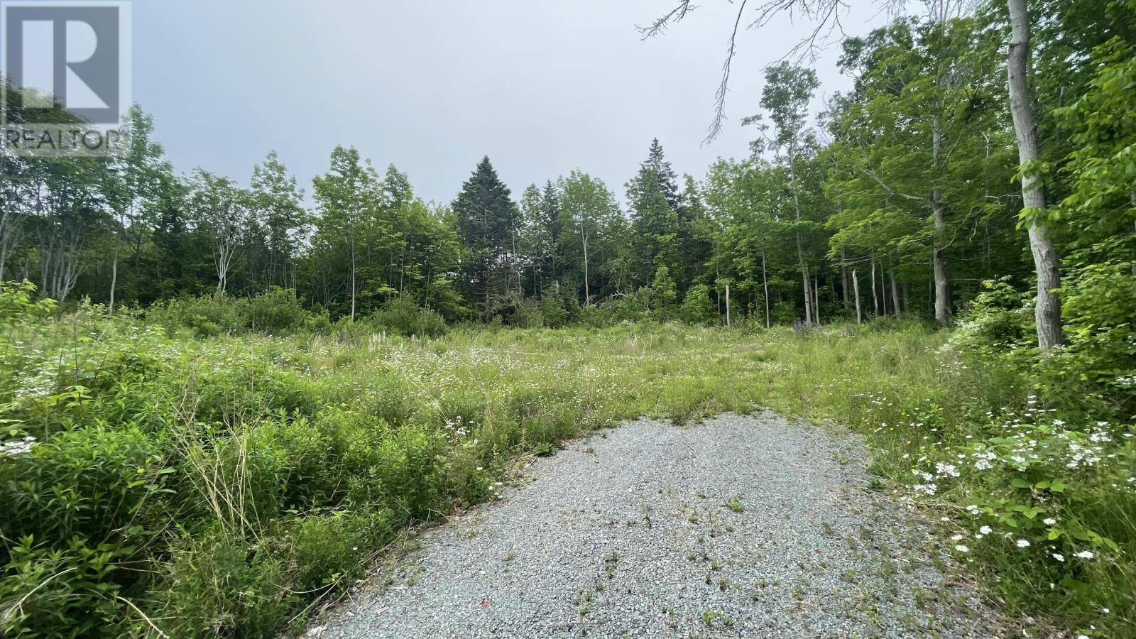 4398 Highway 1, Weymouth, Nova Scotia  B0W 3T0 - Photo 22 - 202514285