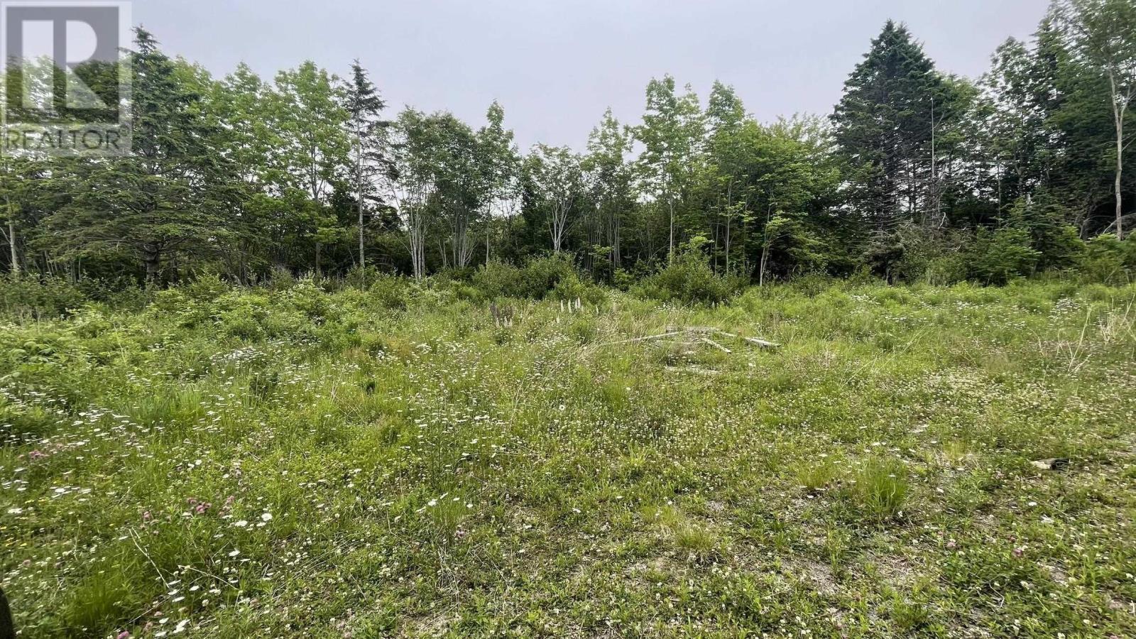 4398 Highway 1, Weymouth, Nova Scotia  B0W 3T0 - Photo 23 - 202514285