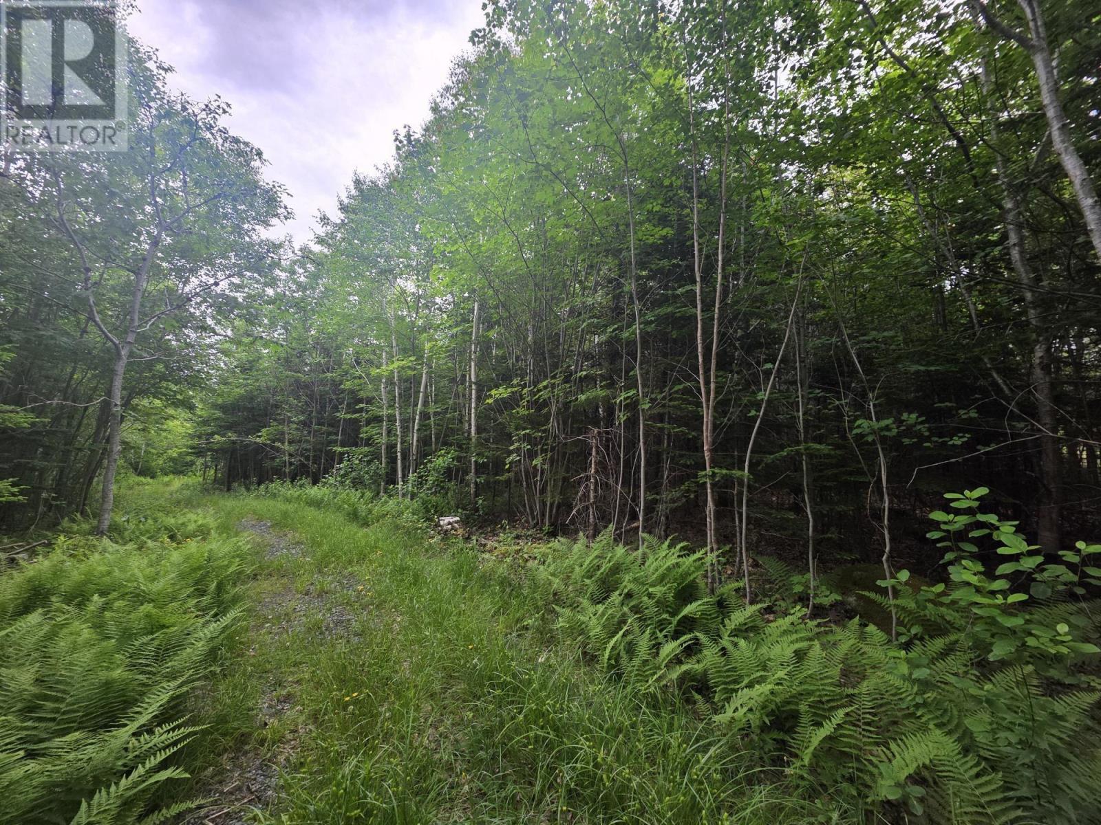 Clark Road, Bear River, Nova Scotia  B0S 1B0 - Photo 10 - 202515916