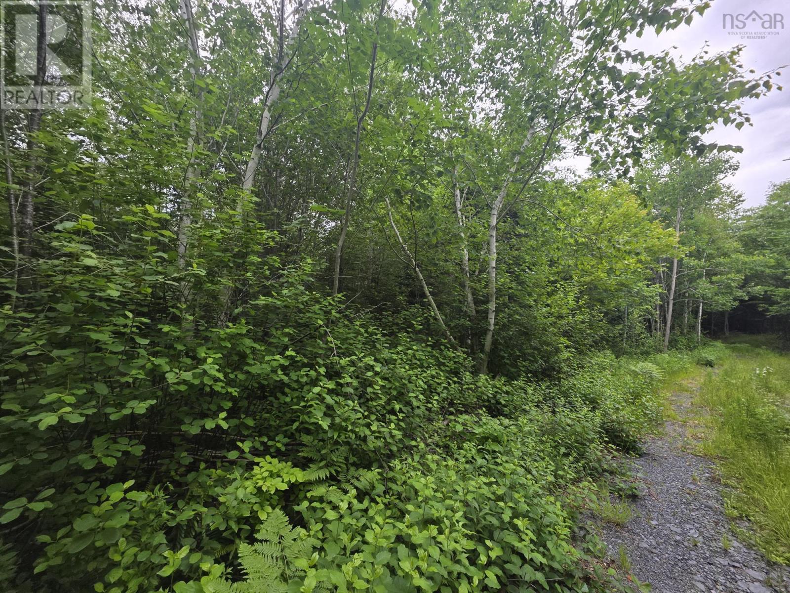 Clark Road, Bear River, Nova Scotia  B0S 1B0 - Photo 11 - 202515916