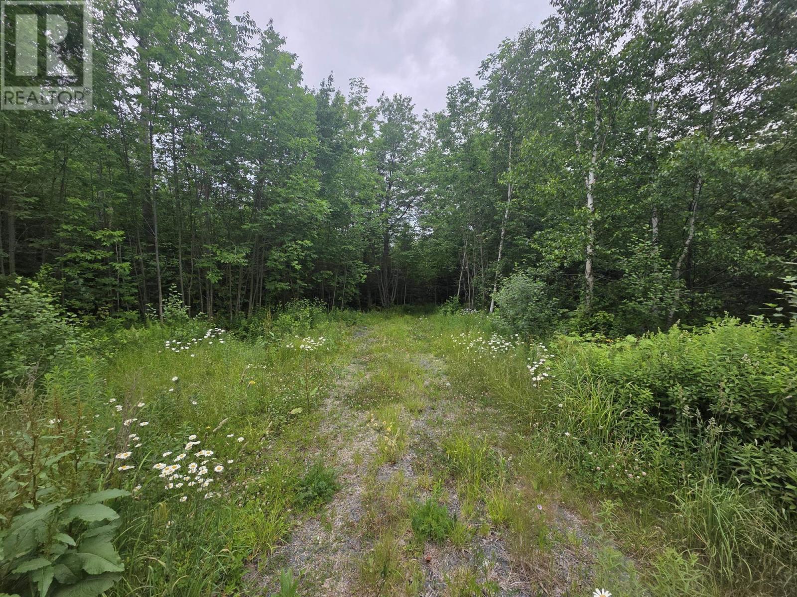 Clark Road, Bear River, Nova Scotia  B0S 1B0 - Photo 15 - 202515916