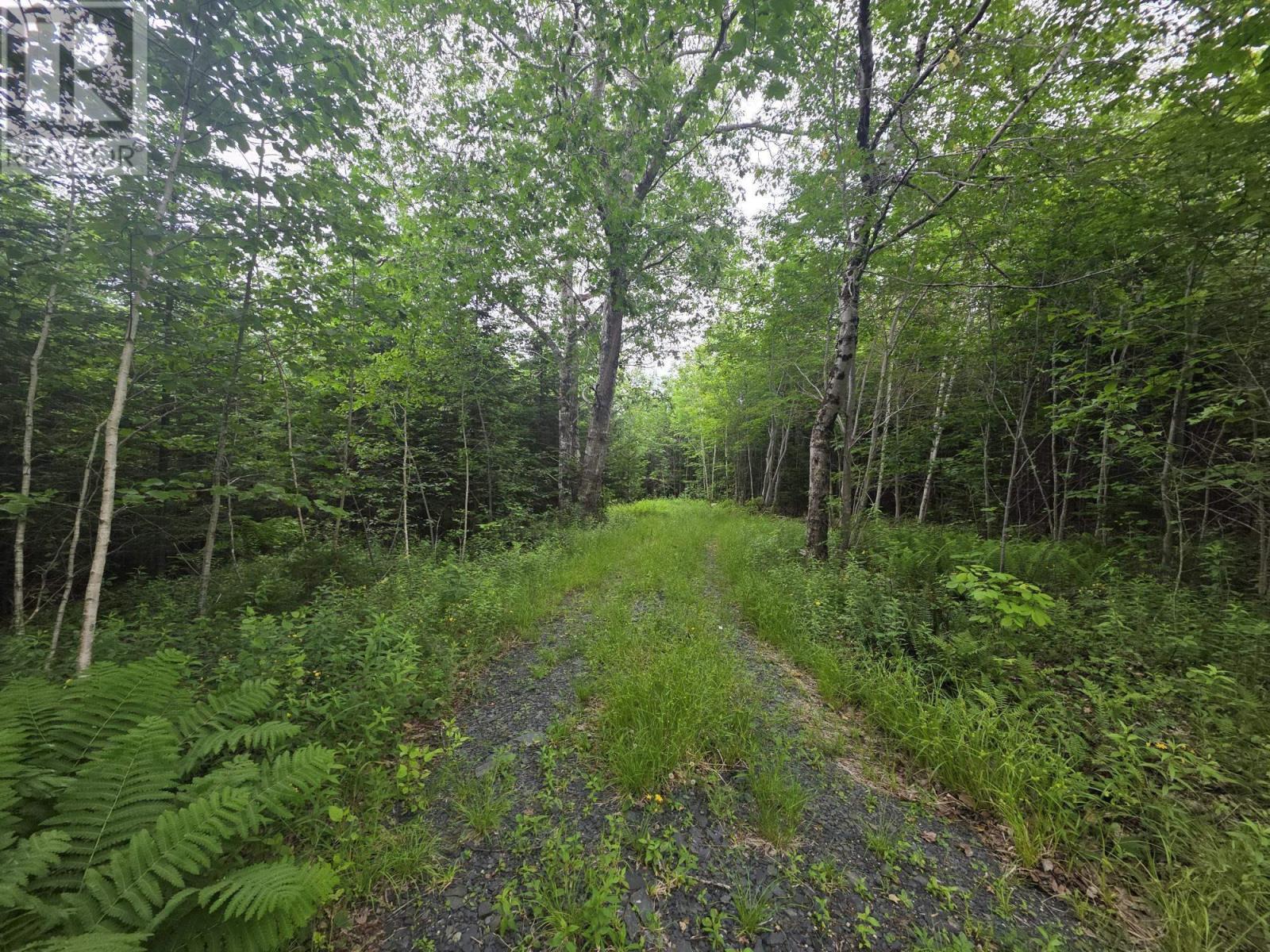 Clark Road, Bear River, Nova Scotia  B0S 1B0 - Photo 12 - 202515916