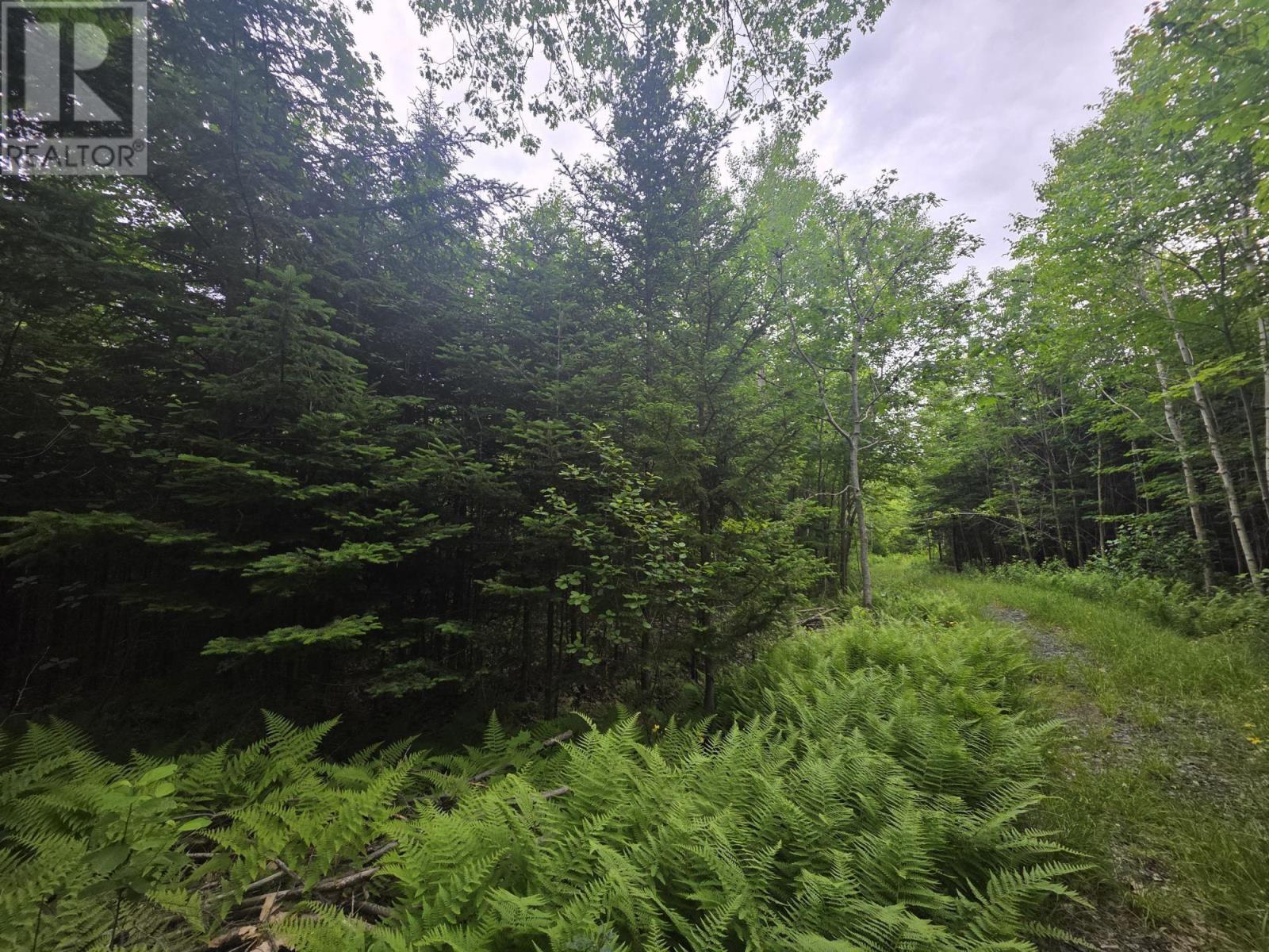 Clark Road, Bear River, Nova Scotia  B0S 1B0 - Photo 13 - 202515916