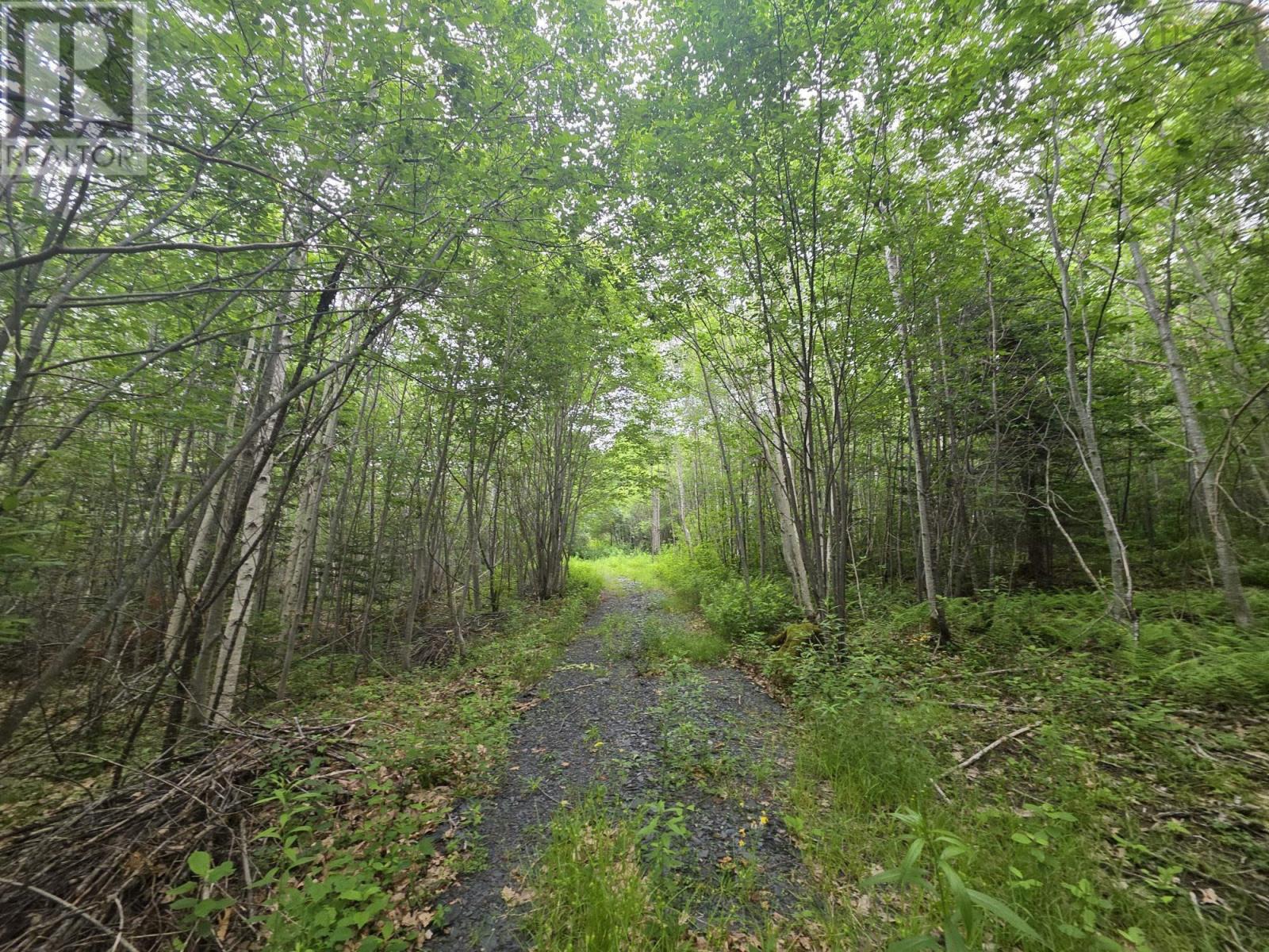 Clark Road, Bear River, Nova Scotia  B0S 1B0 - Photo 9 - 202515916