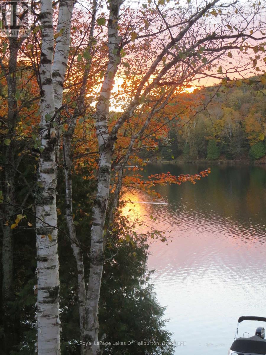 1128 Argillite Road, Dysart Et Al, Ontario  K0M 1S0 - Photo 44 - X13029340