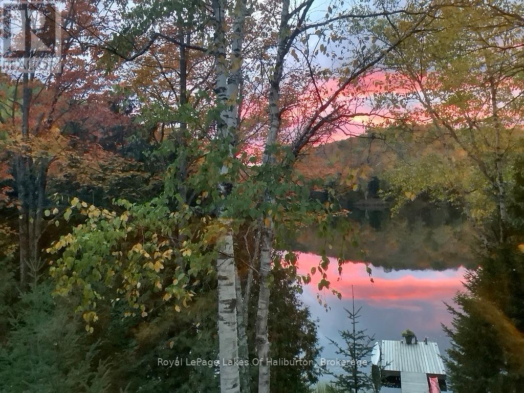 1128 Argillite Road, Dysart Et Al, Ontario  K0M 1S0 - Photo 41 - X13029340