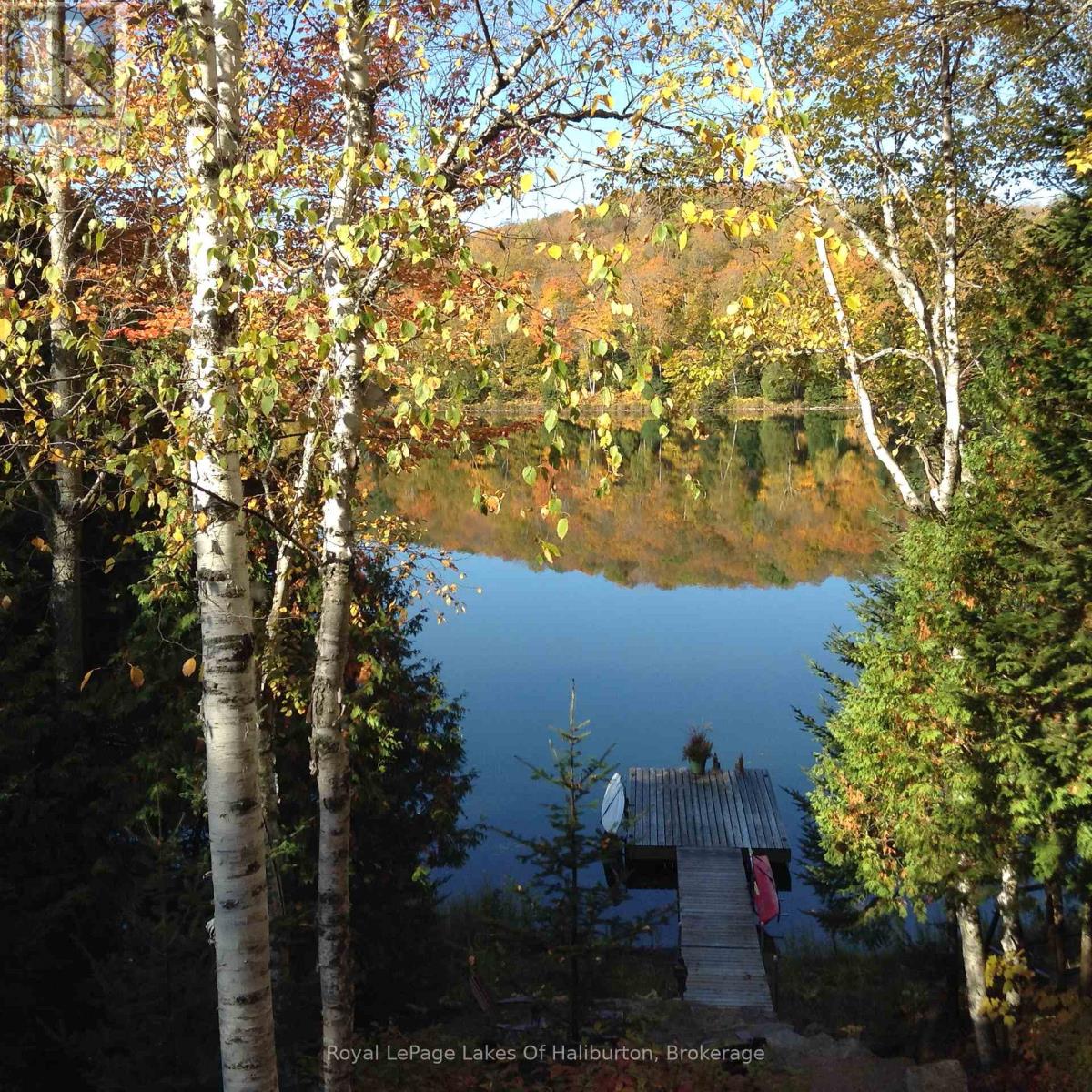 1128 Argillite Road, Dysart Et Al, Ontario  K0M 1S0 - Photo 45 - X13029340