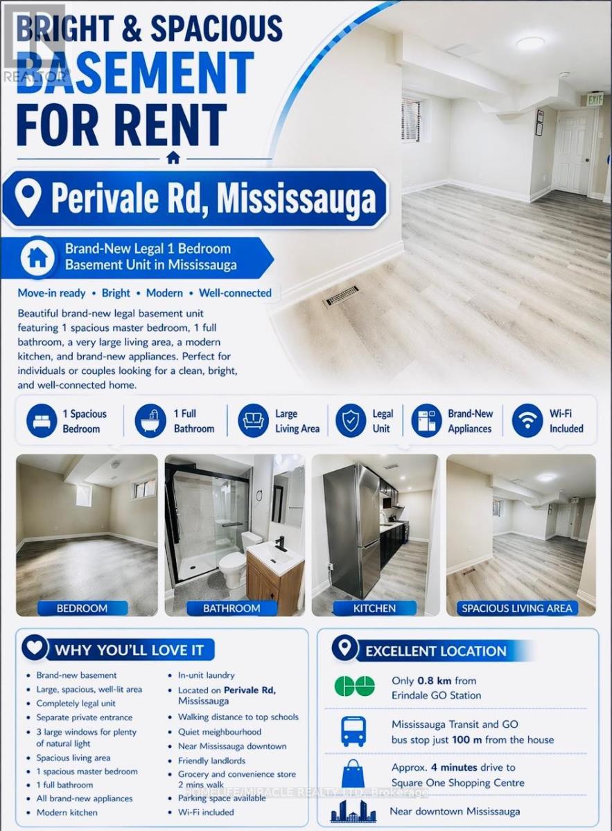 Bsmt - 4204 Perivale Road, Mississauga, Ontario  L5C 3Y5 - Photo 17 - W13030978