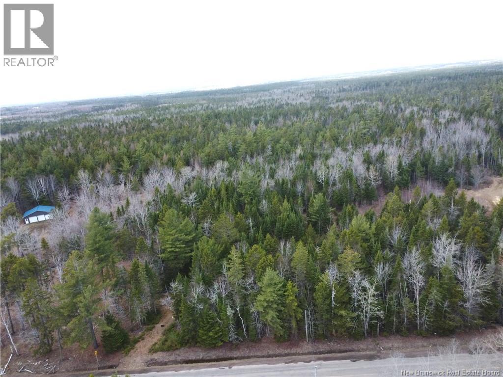 Lot 25-1 Niagara Road, Pine Glen, New Brunswick  E1J 1S4 - Photo 11 - NB137355