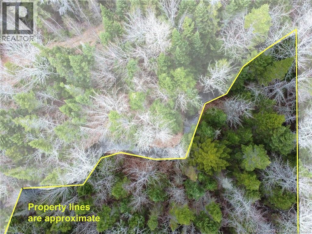 Lot 25-1 Niagara Road, Pine Glen, New Brunswick  E1J 1S4 - Photo 10 - NB137355