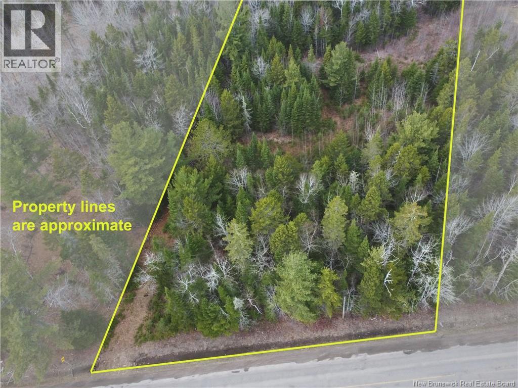 Lot 25-1 Niagara Road, Pine Glen, New Brunswick  E1J 1S4 - Photo 13 - NB137355