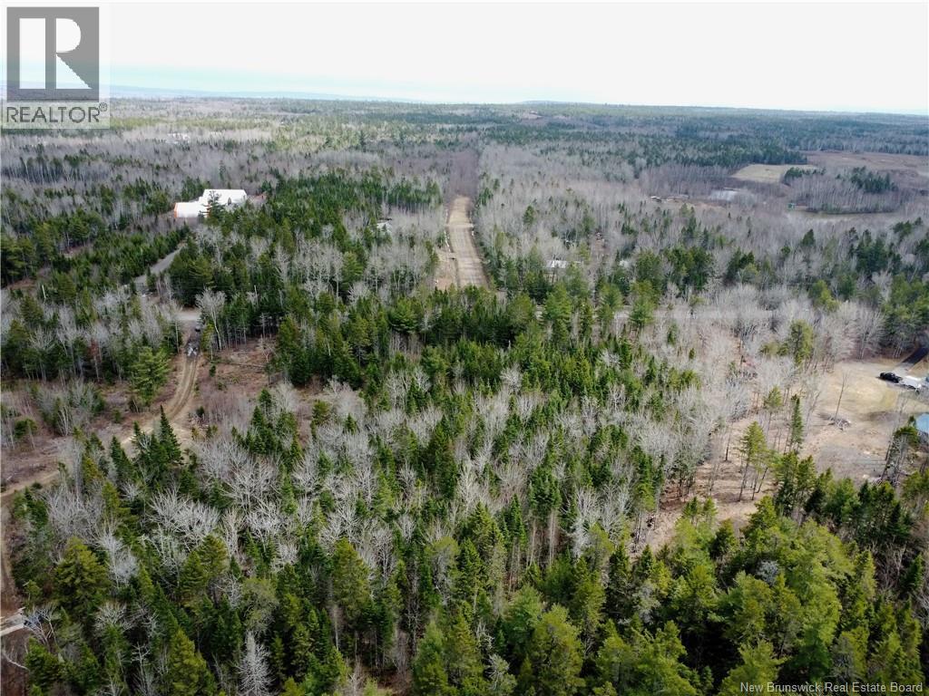 Lot 25-1 Niagara Road, Pine Glen, New Brunswick  E1J 1S4 - Photo 16 - NB137355