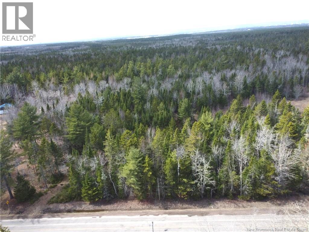Lot 25-1 Niagara Road, Pine Glen, New Brunswick  E1J 1S4 - Photo 9 - NB137355
