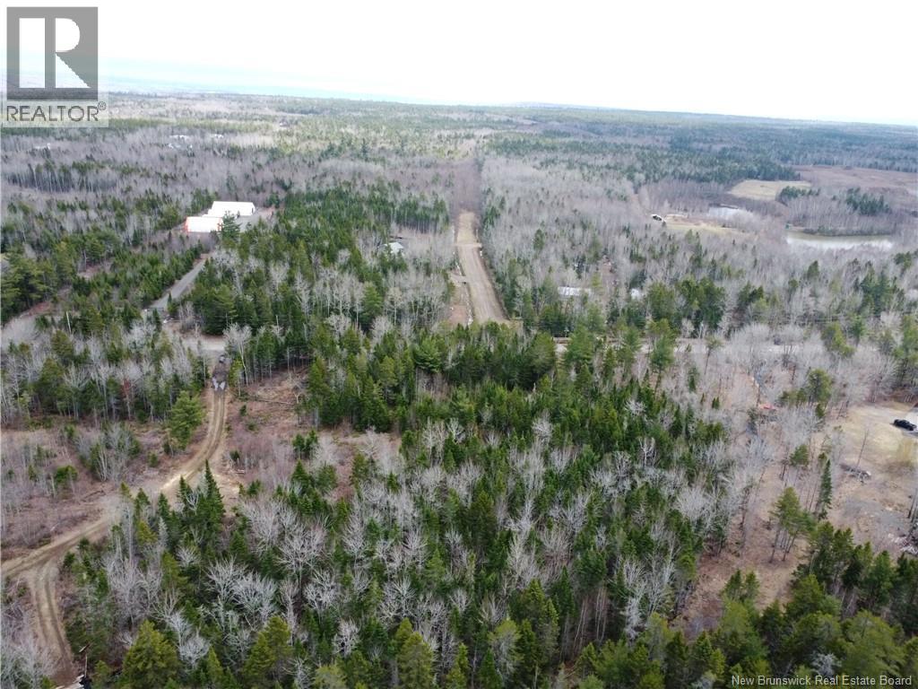Lot 25-1 Niagara Road, Pine Glen, New Brunswick  E1J 1S4 - Photo 15 - NB137355