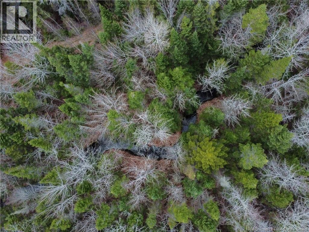Lot 25-1 Niagara Road, Pine Glen, New Brunswick  E1J 1S4 - Photo 6 - NB137355