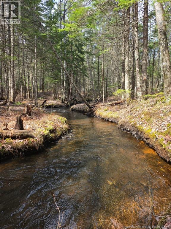 Lot 25-1 Niagara Road, Pine Glen, New Brunswick  E1J 1S4 - Photo 5 - NB137355
