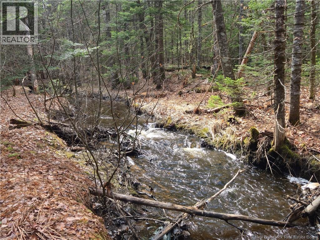 Lot 25-1 Niagara Road, Pine Glen, New Brunswick  E1J 1S4 - Photo 2 - NB137355