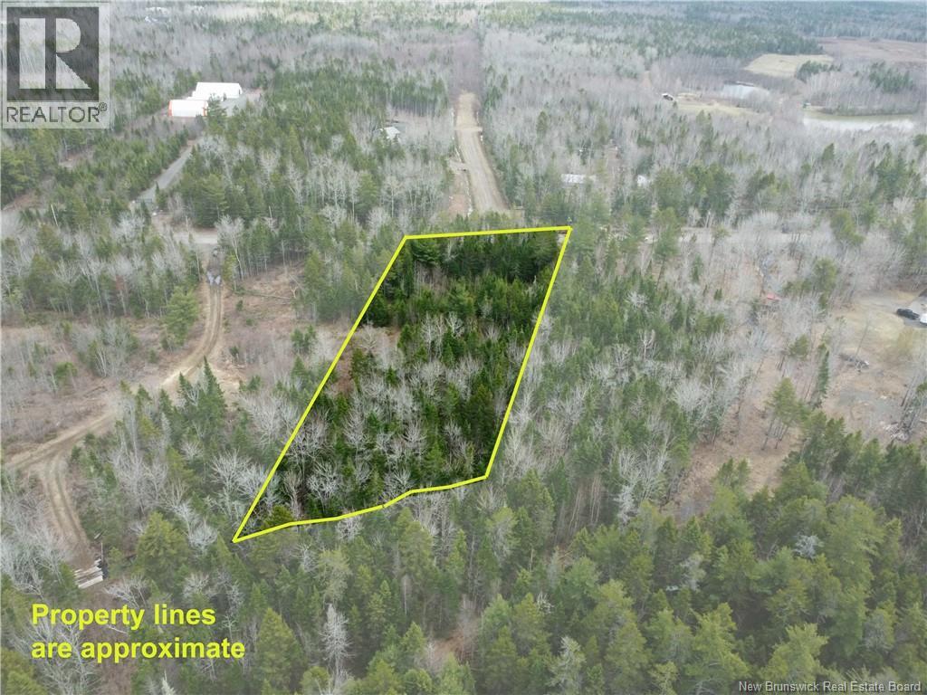 Lot 25-1 Niagara Road, Pine Glen, New Brunswick  E1J 1S4 - Photo 17 - NB137355