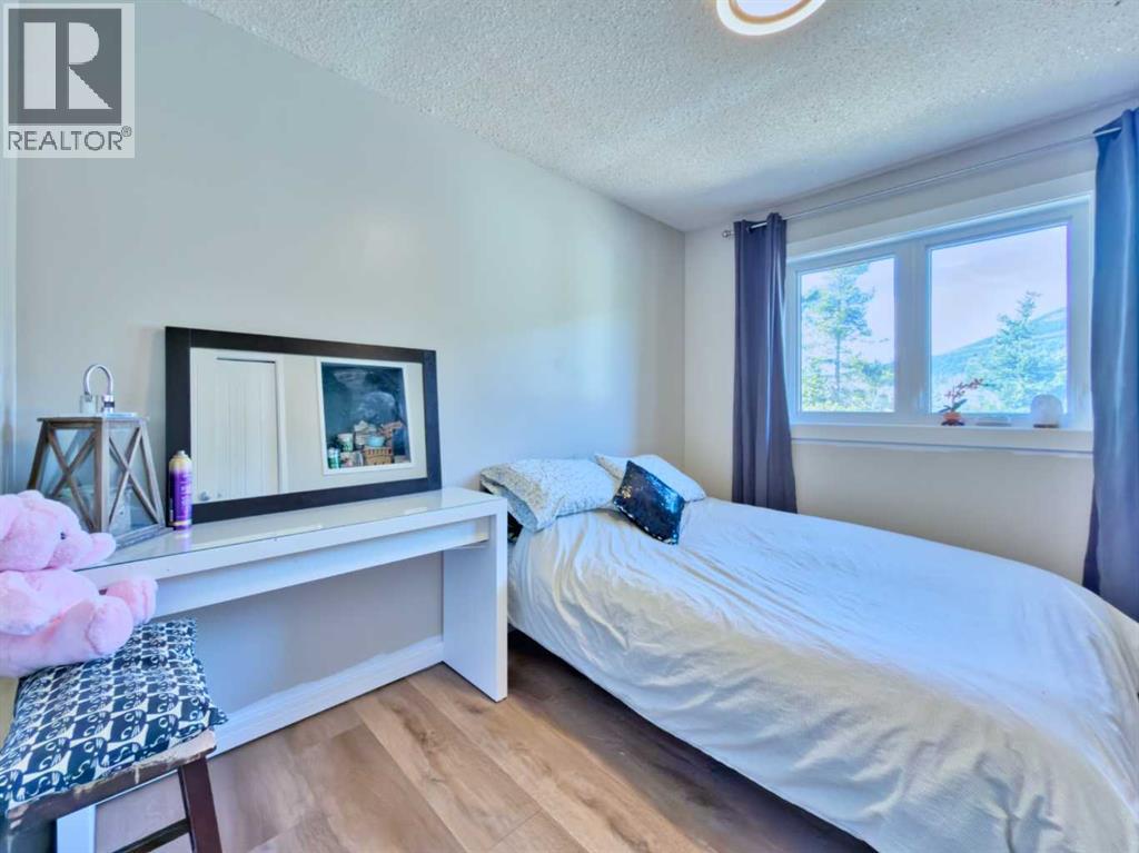 11814 17 Avenue, Blairmore, Alberta  T0K 0E0 - Photo 20 - A2303300