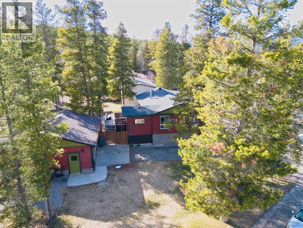 11814 17 Avenue, Blairmore, Alberta  T0K 0E0 - Photo 3 - A2303300