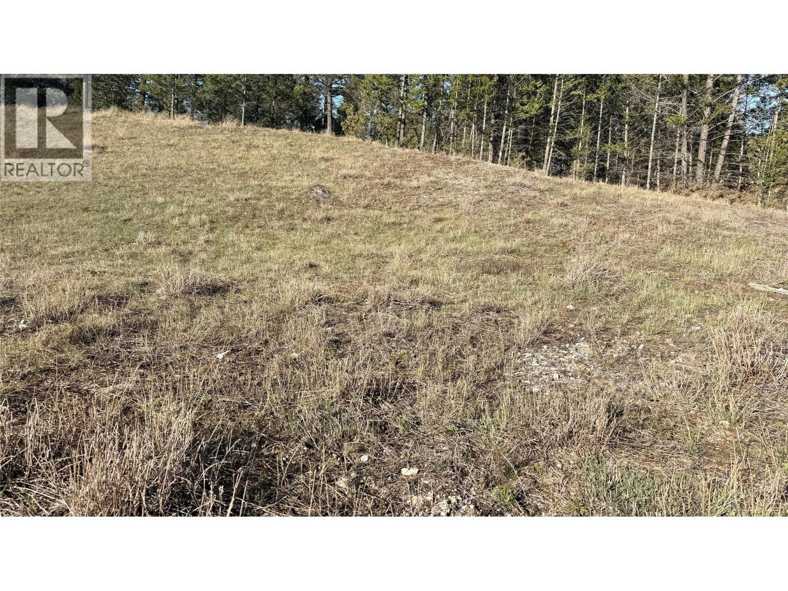 Lot 1 Cooper Road Lot# 1, Windermere, British Columbia  V0B 1L0 - Photo 9 - 10384101