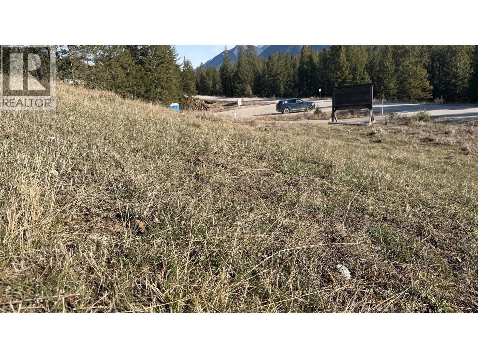 Lot 1 Cooper Road Lot# 1, Windermere, British Columbia  V0B 1L0 - Photo 13 - 10384101