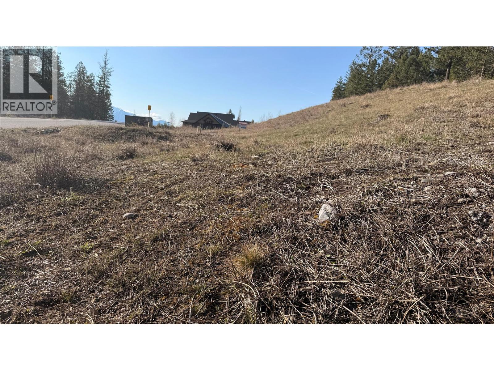 Lot 1 Cooper Road Lot# 1, Windermere, British Columbia  V0B 1L0 - Photo 17 - 10384101