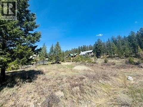 Lot 30 Mountain Top Drive, Fairmont Hot Springs, British Columbia  V0B 1L1 - Photo 10 - 10384401